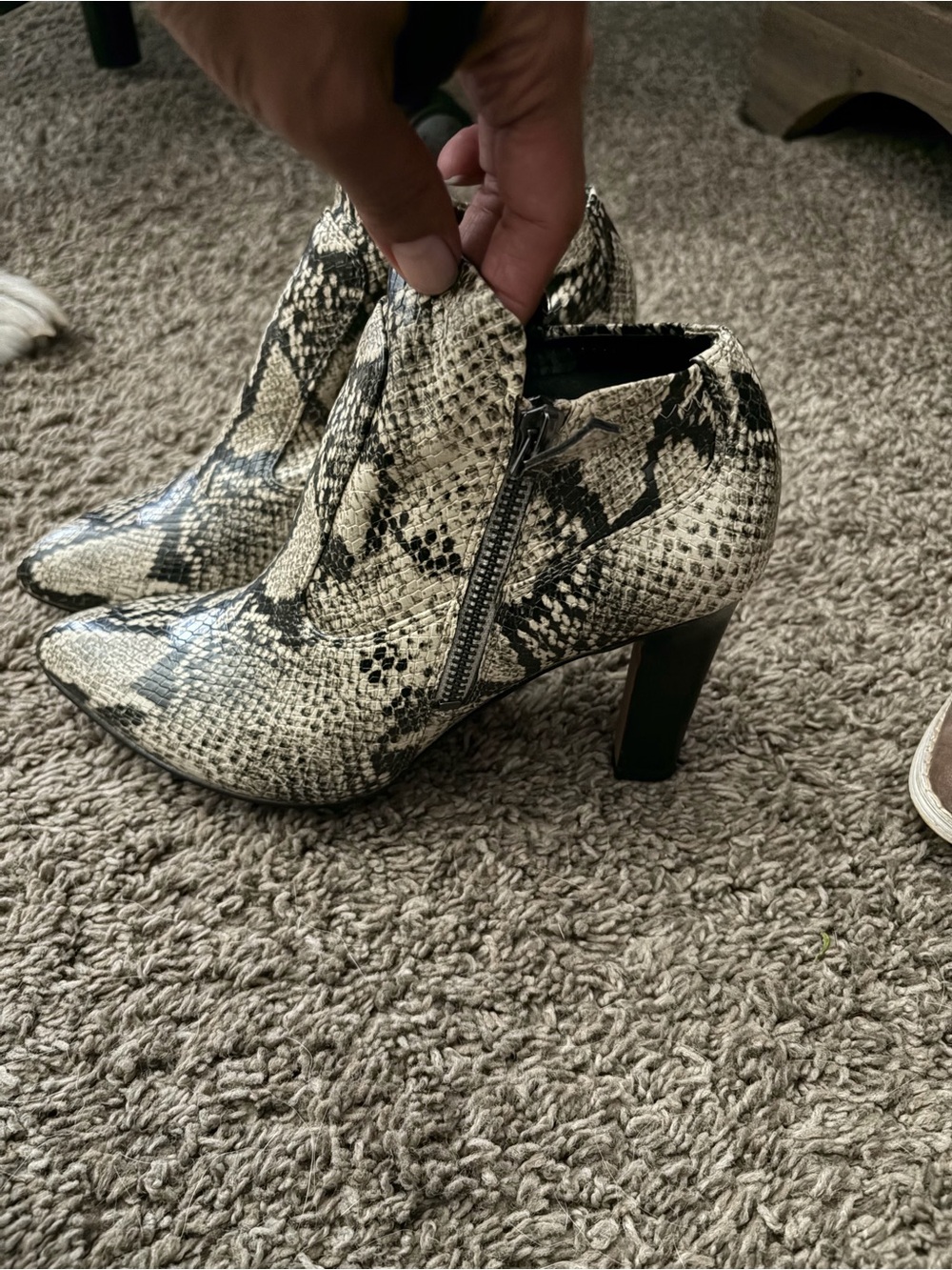 Franco Sarto Black & Cream Snake-Print Heel Booties